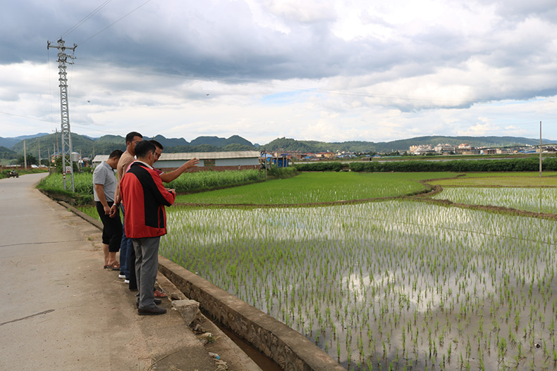 孟连县农村人才培养项目实地检查、探访情况