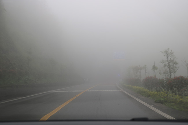 图【探访途中大雾弥漫的道路】